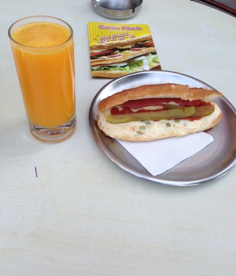 Cansu piknik