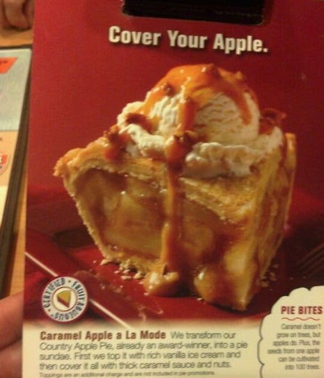 Village Inn