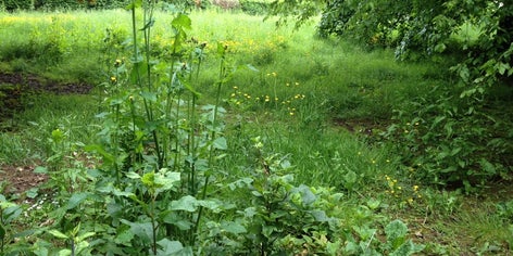 3067139_snP8qzpEr0aDHS4HutziOk5bxDMS0tfr