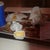 Фотографии Burger King, ресторан быстрого питания на Foursquare.com