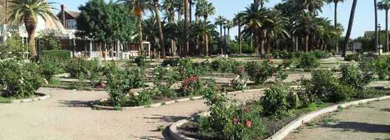 Rose Ranch Garden Sahuaro Wedding Park