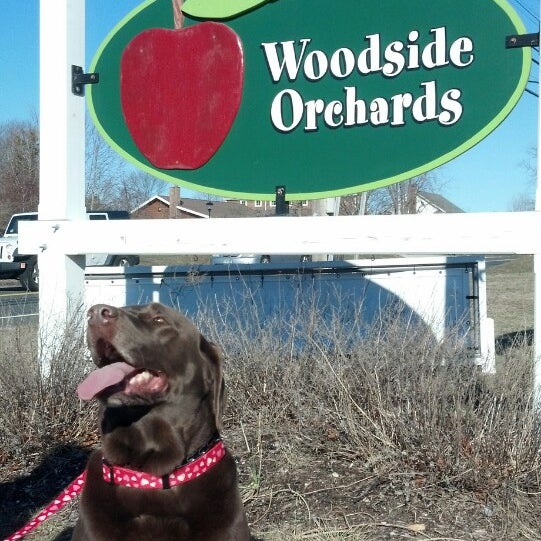 Woodside Orchards Aquebogue, NY