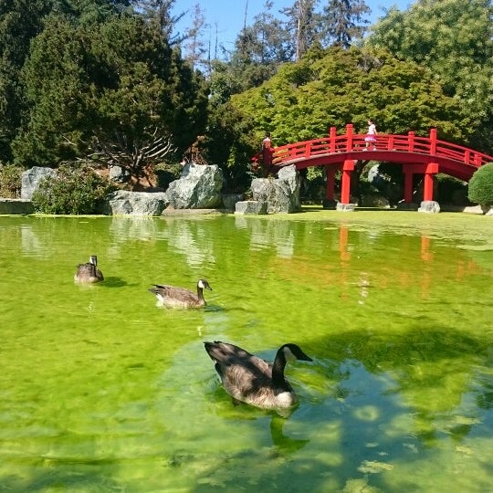 Where's Good? Holiday and vacation recommendations for San Jose, United States. What's good to see, when's good to go and how's best to get there.