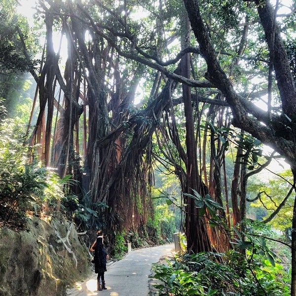 Where's Good? Holiday and vacation recommendations for Hong Kong, Hong Kong. What's good to see, when's good to go and how's best to get there.