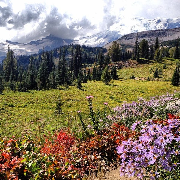 Summerland Meadow At Mt. Rainier - Enumclaw, Wa