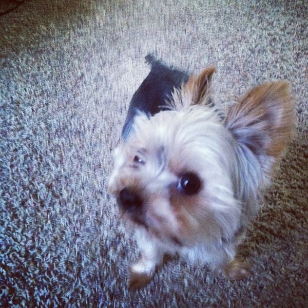 Centennial Hills Neighborhood in Las Vegas