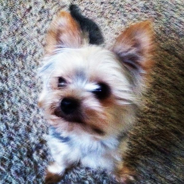 Centennial Hills Neighborhood in Las Vegas