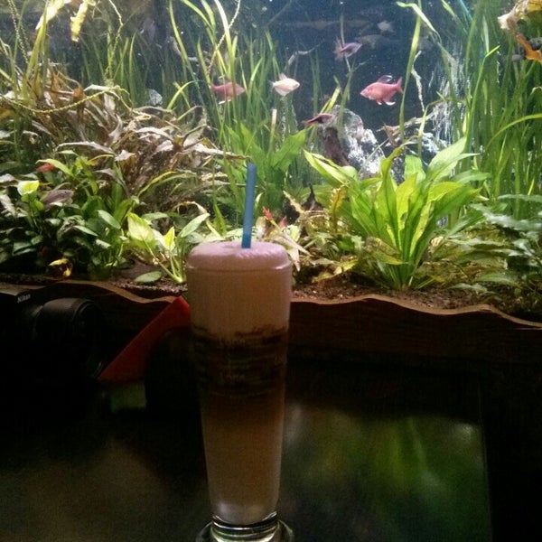 Снимок сделан в Саламандра / Salamander пользователем Марина П. 1/3/2014