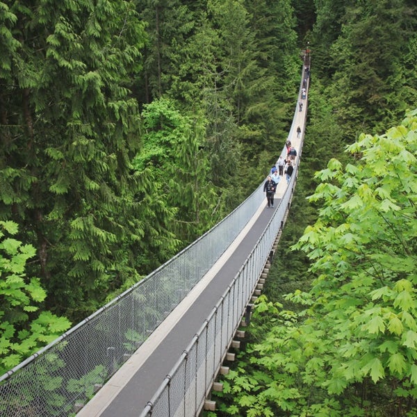 Capilano suspension bridge discount coupons