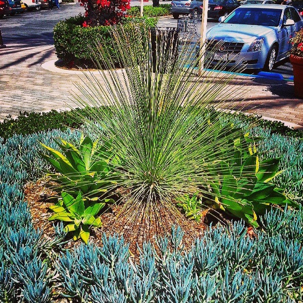 Irvine Best Car Wash Irvine Best Car Wash