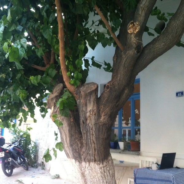 Dutlu Kahve Café