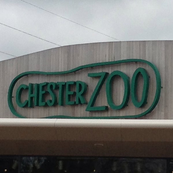 Where's Good? Holiday and vacation recommendations for Chester, United Kingdom. What's good to see, when's good to go and how's best to get there.