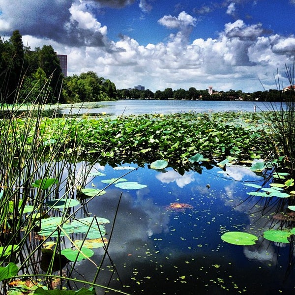 Lake Ivanhoe Park North Orange 8 tips from 413 visitors