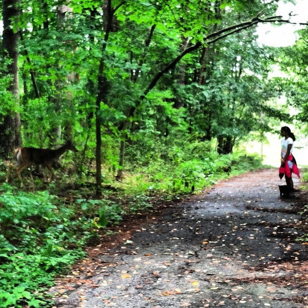 Fenner Nature Center Forest View Lansing, MI