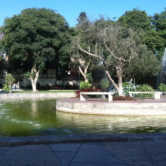 Bosque El Olivar Park in San Isidro