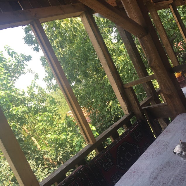 kahvaltı fotoğrafı