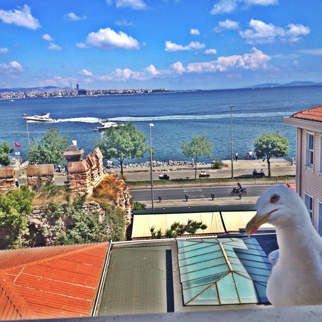 kahvaltı fotoğrafı