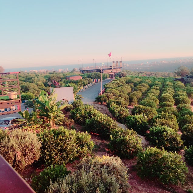 kahvaltı fotografı