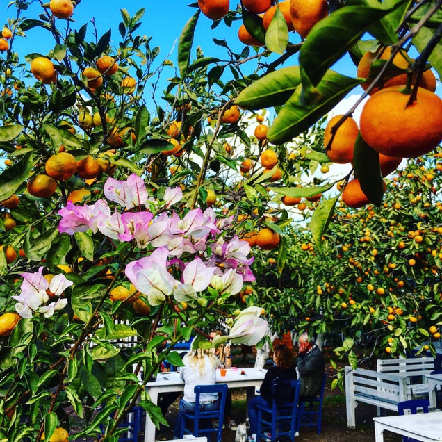 kahvaltı fotografı