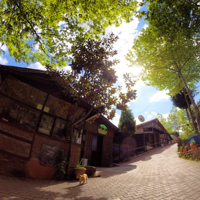 kahvaltı fotografı