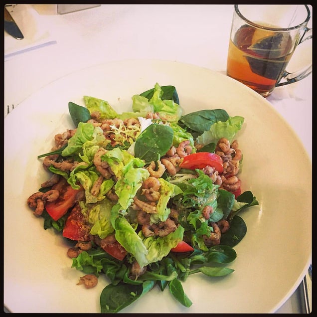 kahvaltı fotografı