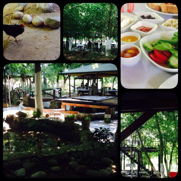 kahvaltı fotoğrafı