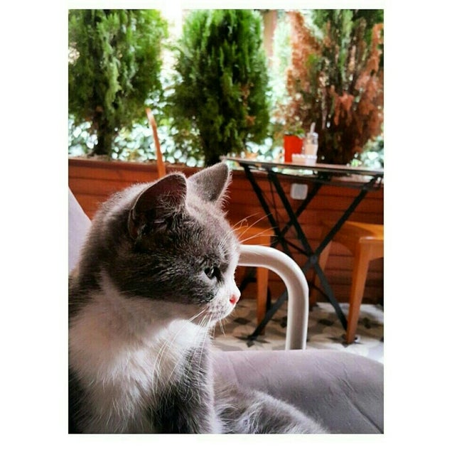 kahvaltı fotoğrafı