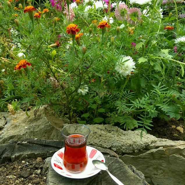 kahvaltı fotografı