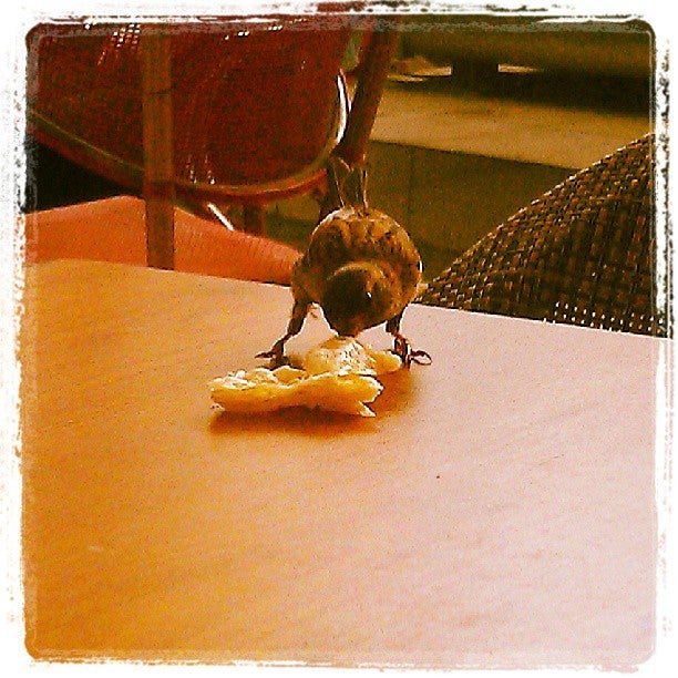 kahvaltı fotoğrafı