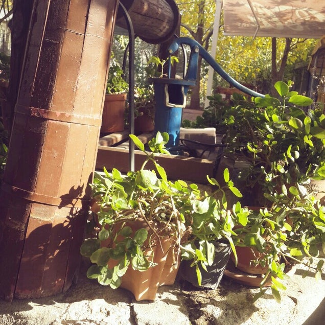 kahvaltı fotografı