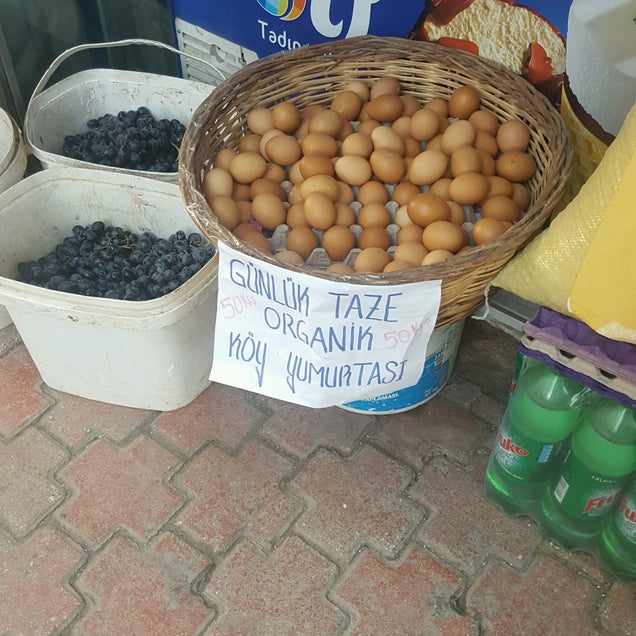 kahvaltı fotografı