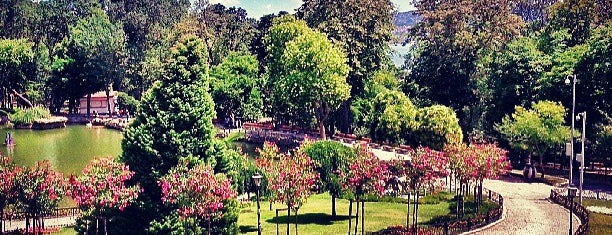 Emirgan Korusu is one of Türkiye'de Gezilmesi- Görülmesi Gereken Yerler.