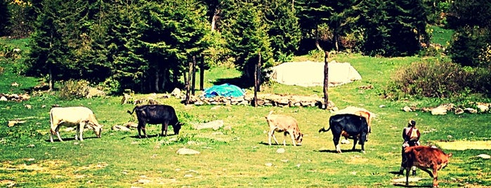 Ayder Yaylası is one of Türkiye'de Gezilmesi- Görülmesi Gereken Yerler.