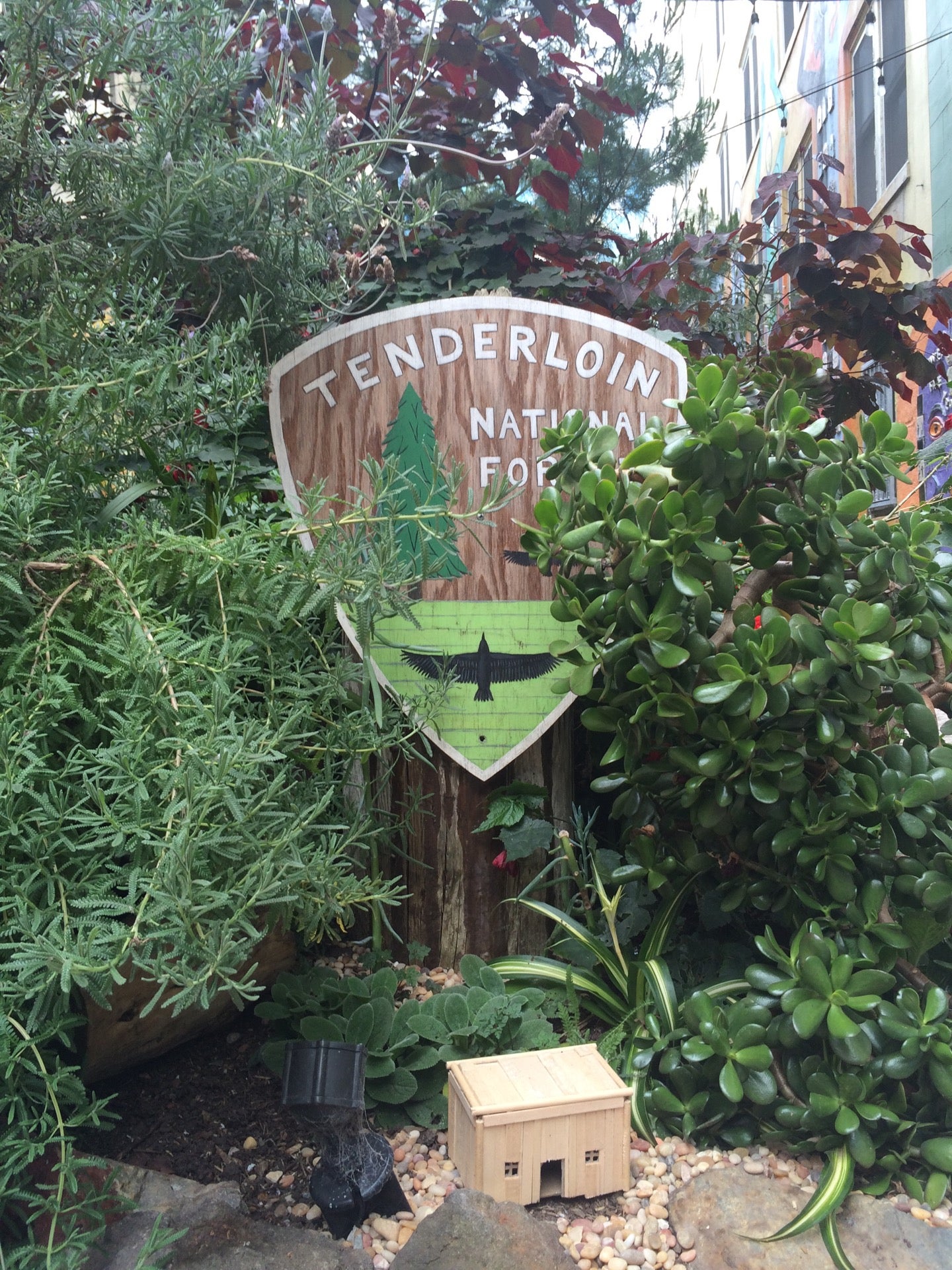 Tenderloin National Forest Simply Me