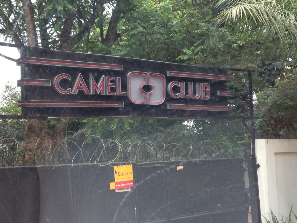 Camel da Club.