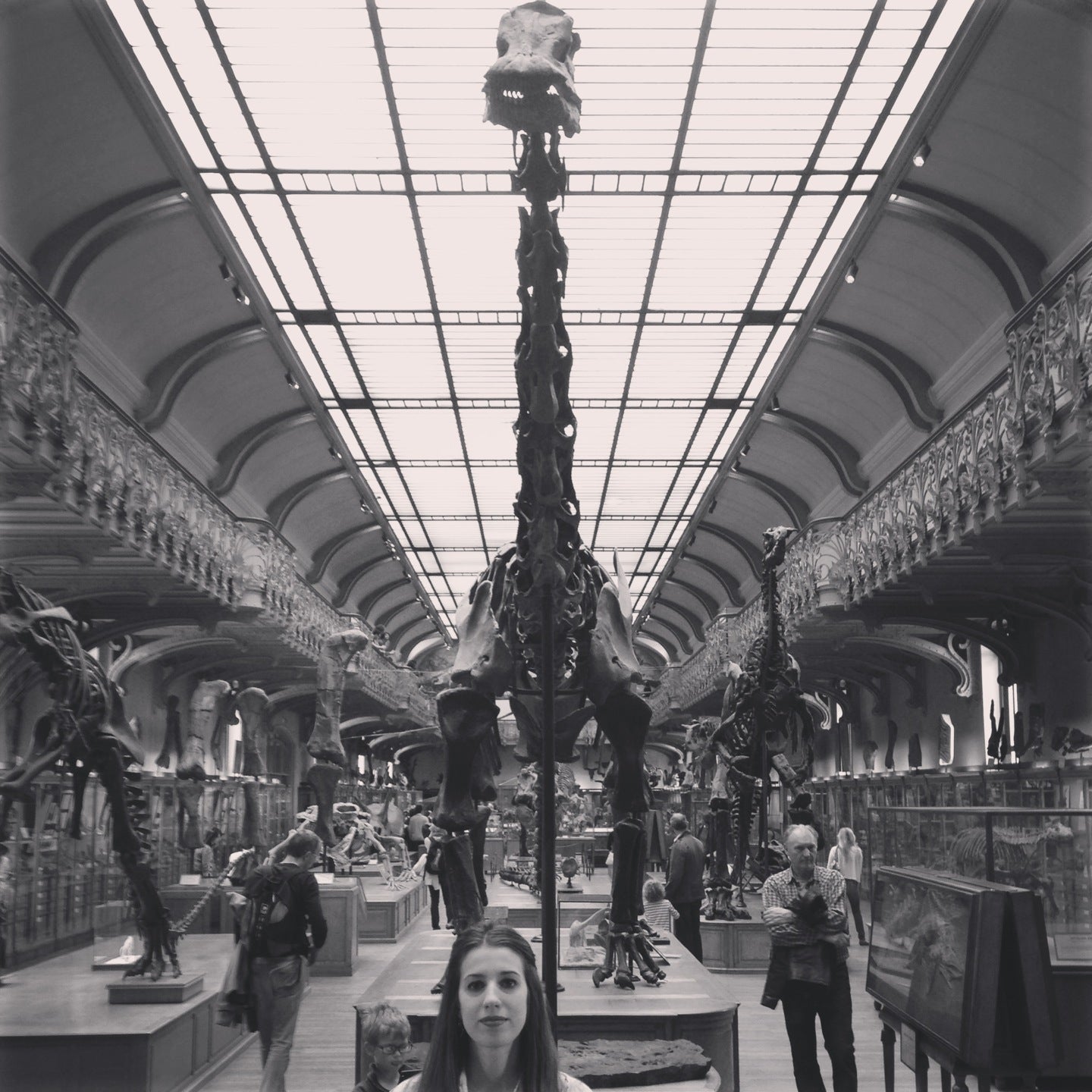 Galerie de Paléontologie et d'Anatomie comparée