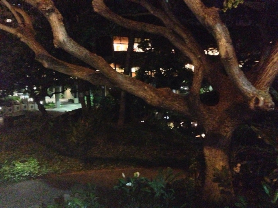 Honolulu International Airport
