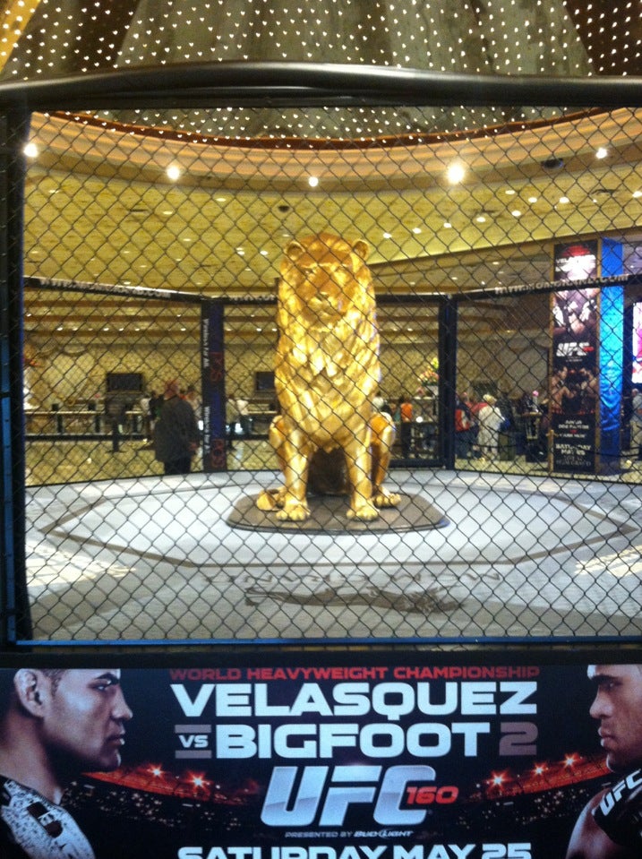 MGM Grand Hotel & Casino