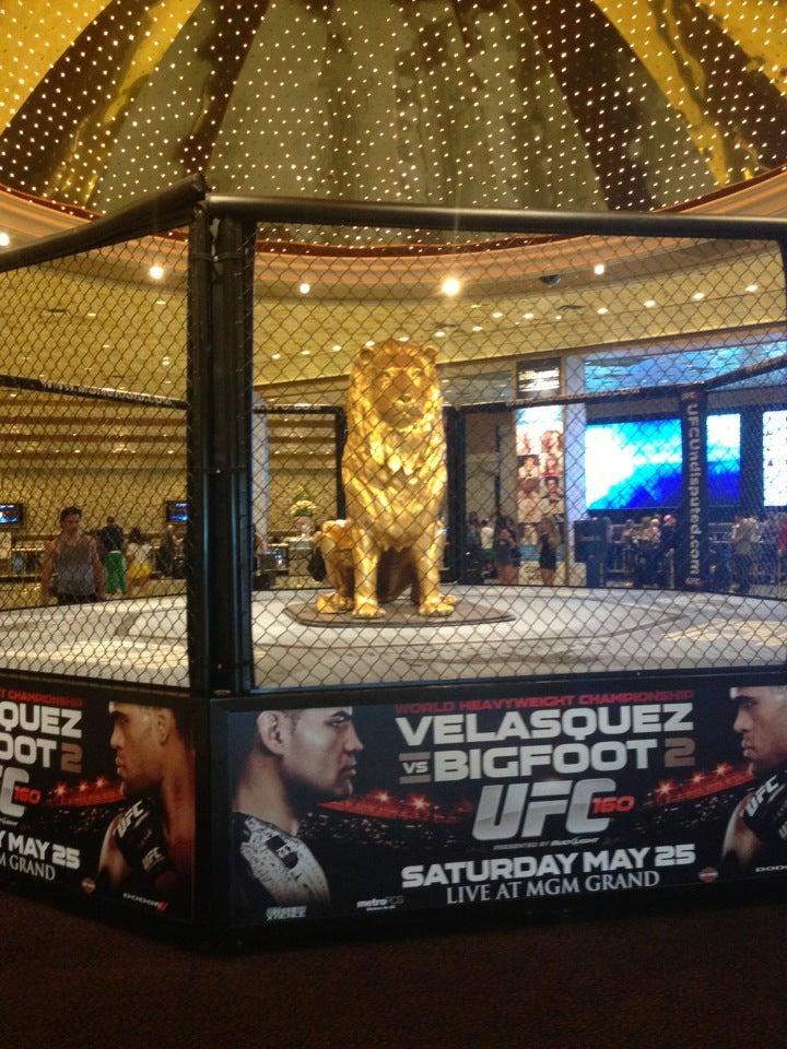 MGM Grand Hotel & Casino