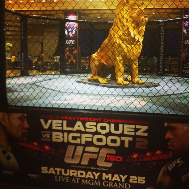 MGM Grand Hotel & Casino
