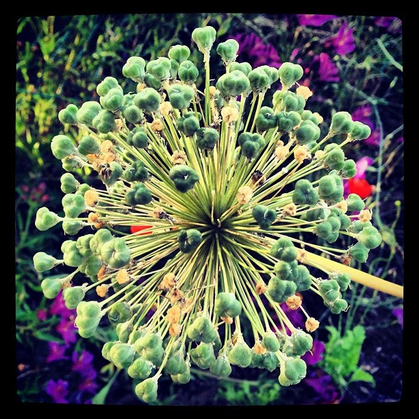 The Getty
