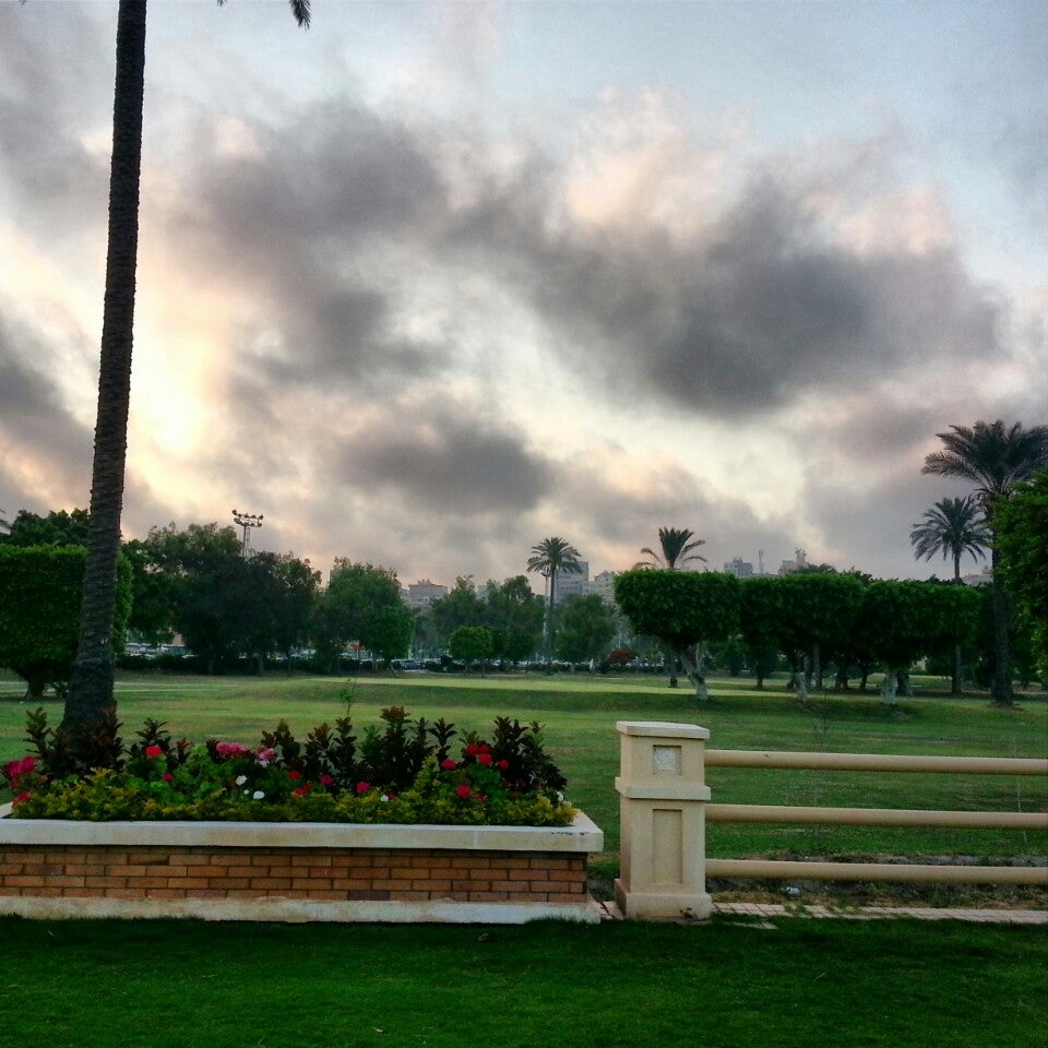 Спортинг александрия