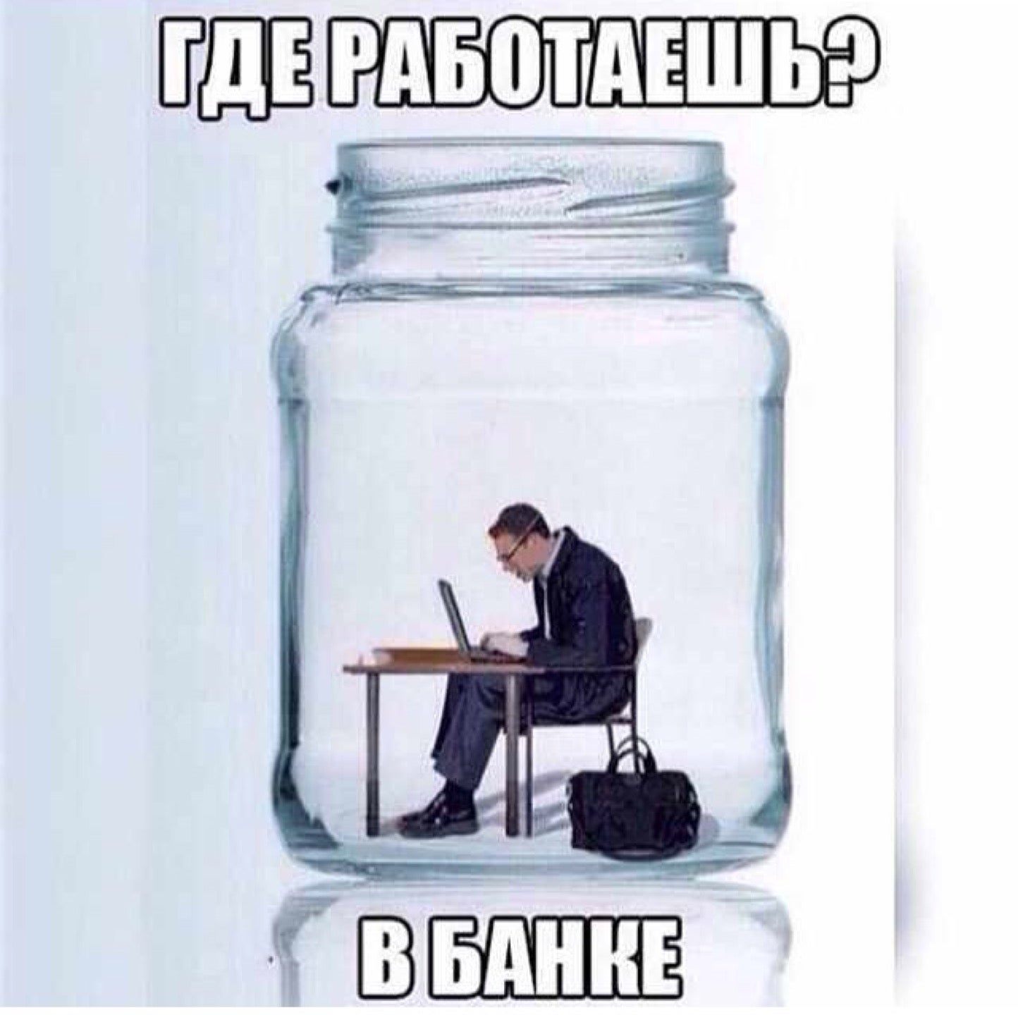Банк прикольных картинок, хомяк смешная