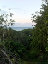 Malindi Marine National Park