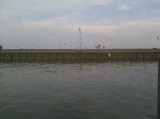 Picture for Topwater Grill