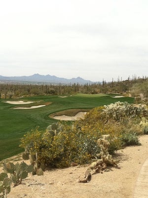 The Golf Club At Dove Mountain