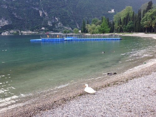Spiaggia Sabbioni Spiaggia Riva Del Garda Italia Guide