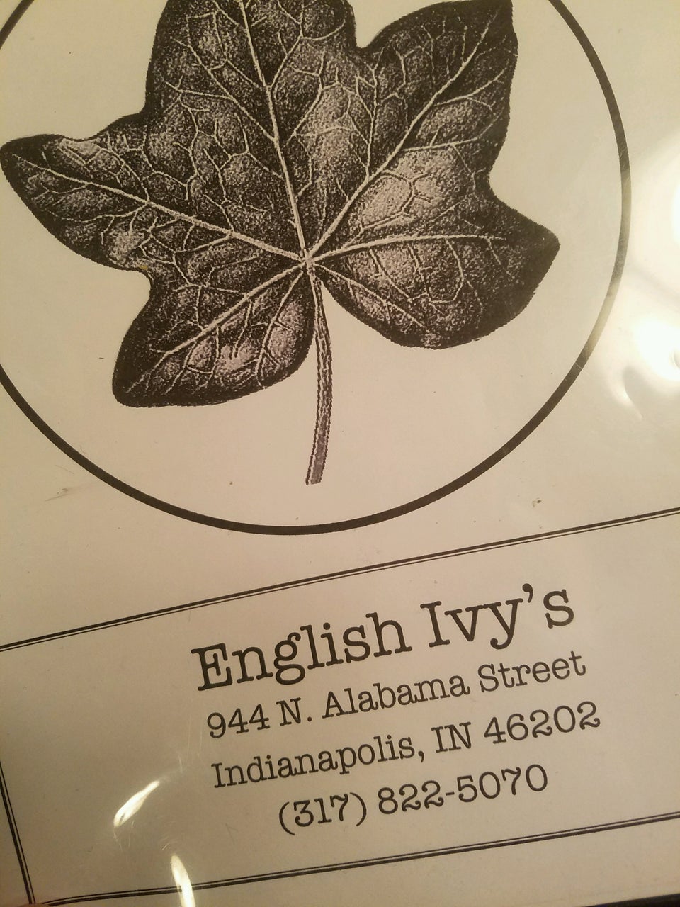 Photo of English Ivy's