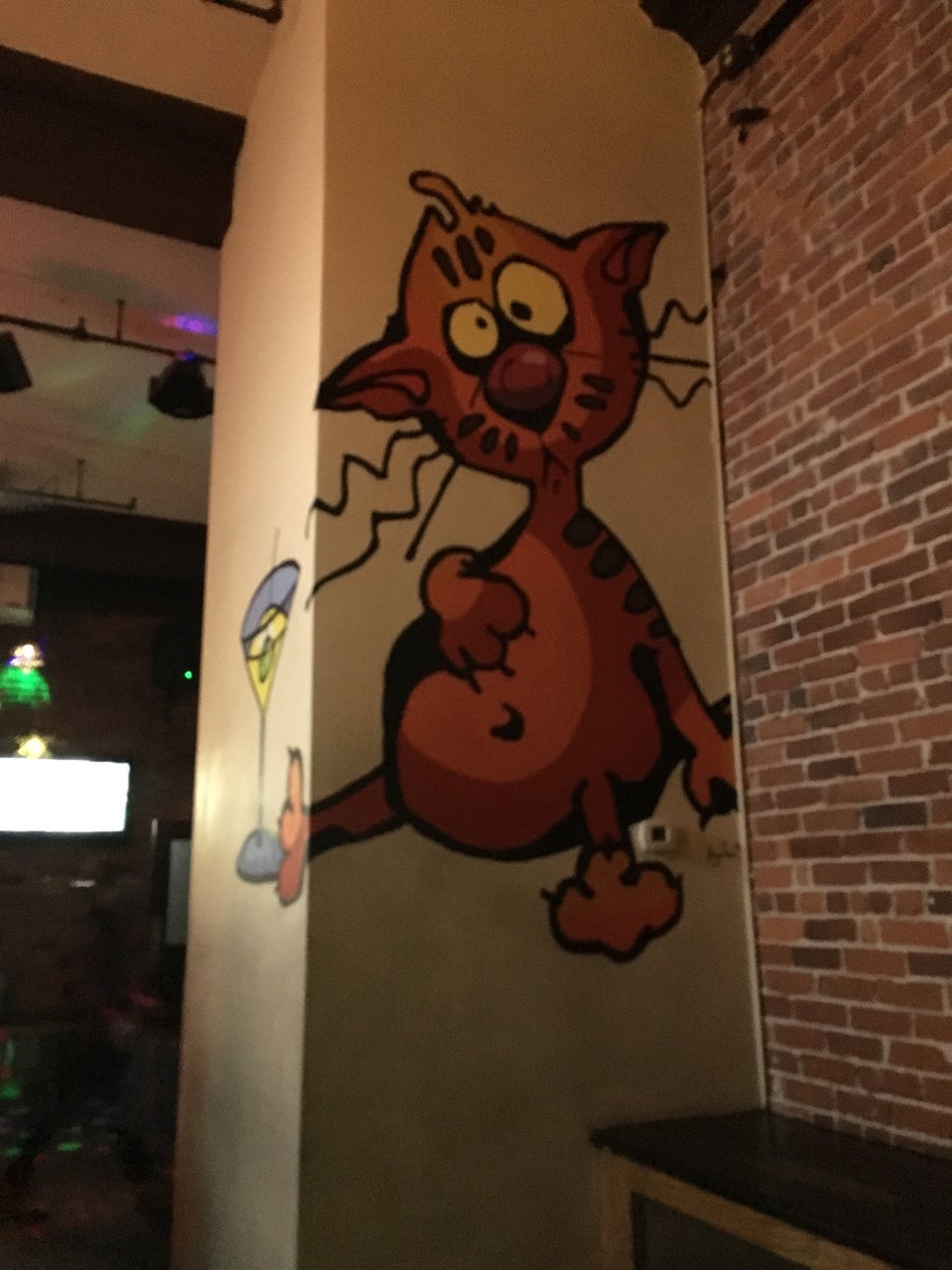 Photo of Alley Cat