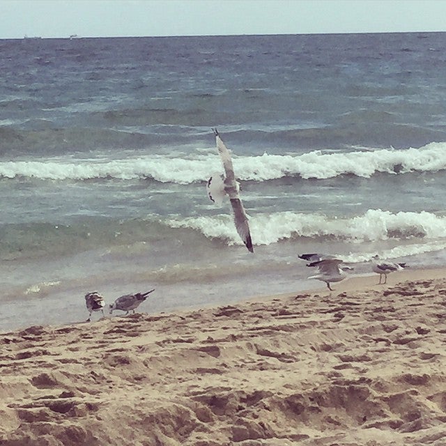 Photo of Sebastian Street Beach